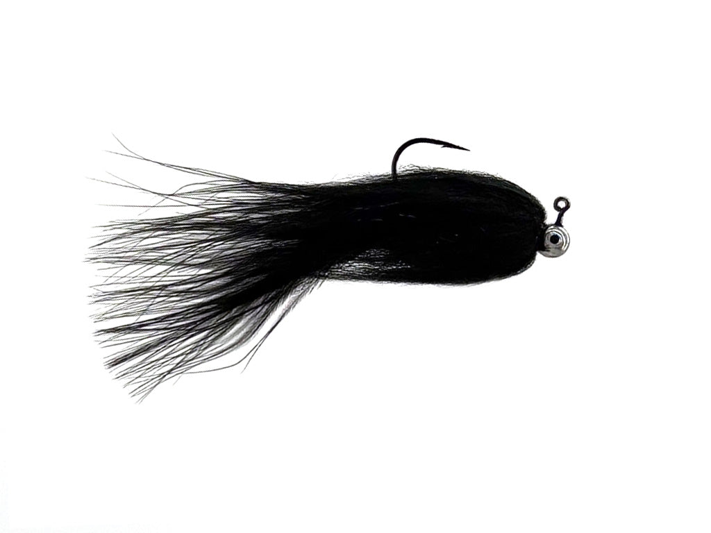 Spotlight Shad